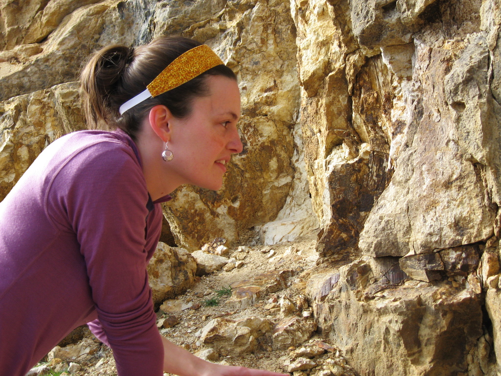 Looking for Fossils