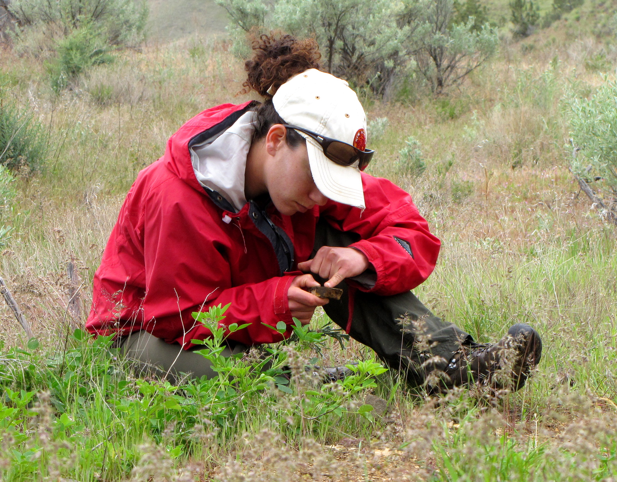 Examining a Fossil