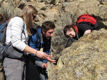 Examining Fossils