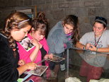 Museum Activity