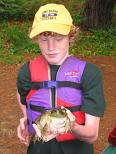 Giant Bull Frog