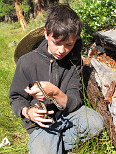 Garter Snake