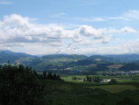 Mount Hood and Vineyards