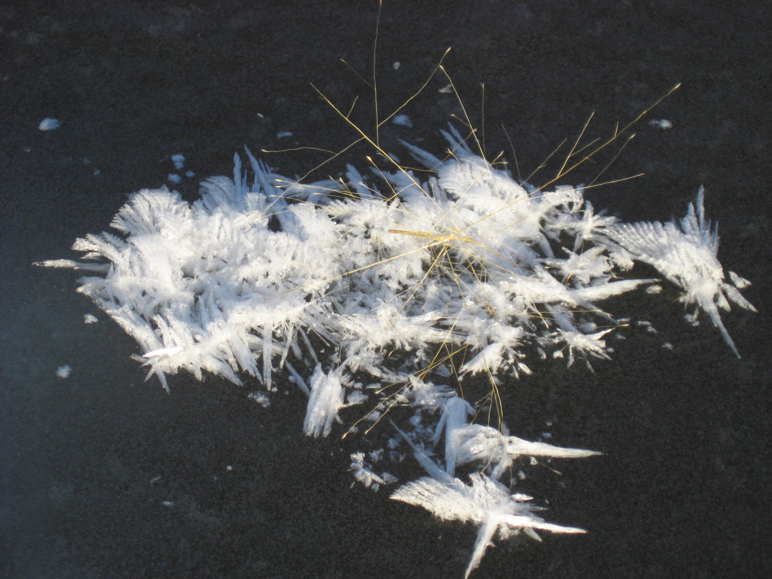 Hoar Frost