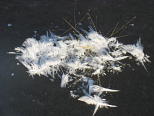 Hoar Frost